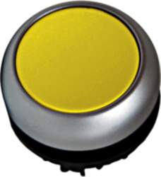 Schrack Technik Illuminated Push-button, flat, spring-return