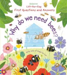 Usborne Publishing Why do we need