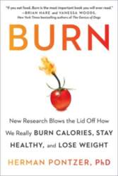 Avery Publishing Group Burn