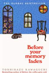 Pan Macmillan Before Your Memory Fades
