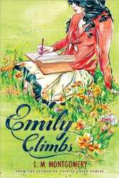 Sourcebooks Fire Emily Climbs