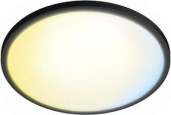 Philips Valen Ceiling Light 22W |