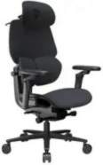 THUNDERX3 Gaming Chair  FLEX Pro -
