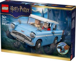 LEGO  Blocks Harry Potter 76470 Enchanted