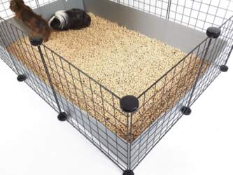 C&C modular cage 5x2 pig rabbit