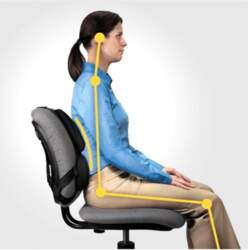Fellowes Ergonomics professional back support pillow