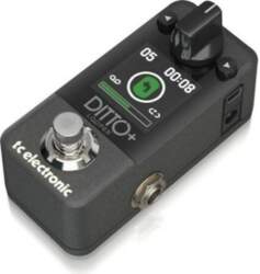 TC Electronic  Ditto+ Looper Looper |