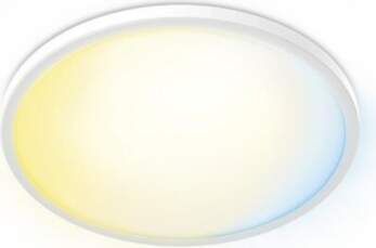 Philips Valen Ceiling Light 22W |