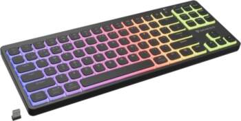 GENESIS Thor 430 TKL Wireless keyboard