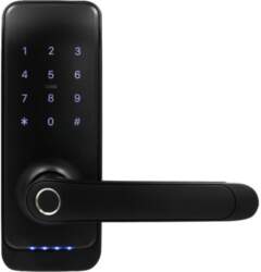 Eura Handle with access controller  ELH-01H4