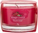 Yankee Candle Red Raspberry ( raspberries