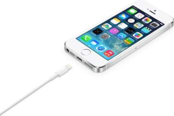 APPLE Lightning to USB Cable (2