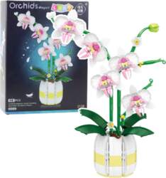 Orchid Construction Blocks Orchid in a