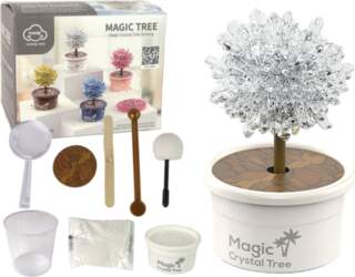 Magic Tree Crystal Growing Silver Experiences
