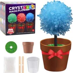 Crystal Growing Magic Crystal Tree Educational