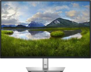 DELL Pro Plus P2425 datora monitors