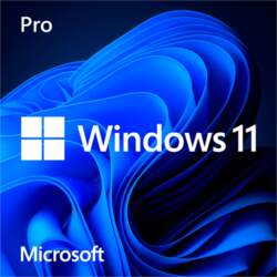 Microsoft Windows 11 Pro, operating system