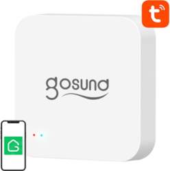 Smart Bluetooth BLE, WiFi Mesh Gateway