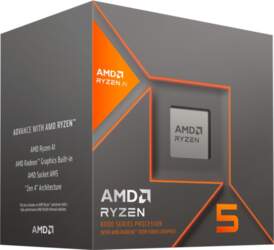 AMD Ryzen 5 8600G - Socket