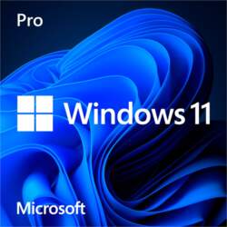 Microsoft SB Windows 11 Pro 64bit