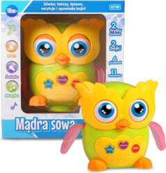 ARTYK Wise owl E-Edu