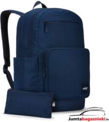 Case Logic Query 29L