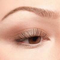 Artdeco Eyeshadow