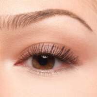 Artdeco Eyeshadow