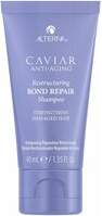 ALTERNA Restoring Shampoo
