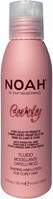 NOAH Modelling Fluid
