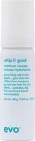 Evo Whip It Good Moisture Mousse