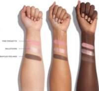 MORPHE Chromaplus Eyeshadow Trio