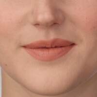 IsaDora Perfect Moisture Lipstick