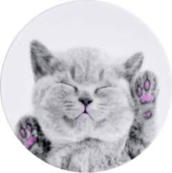 ILike Universal Pop Holder Cat -
