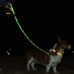 Media-Tech Colored LED lighted PVC collar