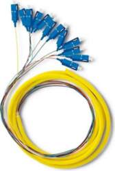 Qoltec 12 x SC/UPC fiber optic