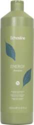 Echosline Energy Shampoo energizing shampoo for