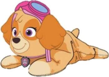 Spin Master Spin Master Paw Patrol