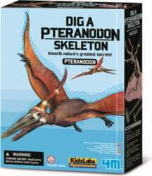 4M Excavation set "Pteranodon