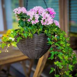 Patio Set of donic round 3-element