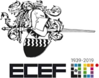 Ecef Drill bit with shank and