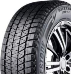 Bridgestone riepas Blizzak DM-V3 108 S