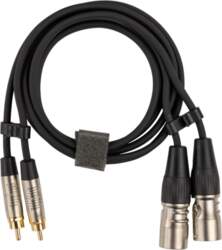 Fuj:tech 2 x RCA uros –
