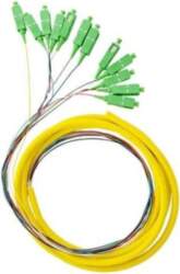 Qoltec 12 x SC/APC fiber optic