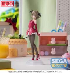 Sega Rascal Does Not Dream of
