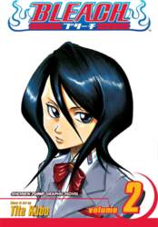 Bleach, Vol. 2
