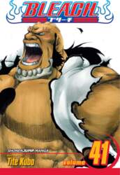 Bleach, Vol. 41