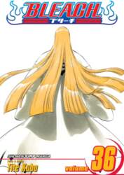 Bleach, Vol. 36