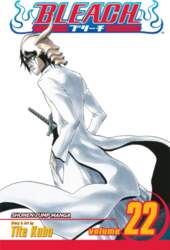 Bleach, Vol. 22