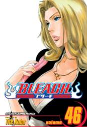 Bleach, Vol. 46
